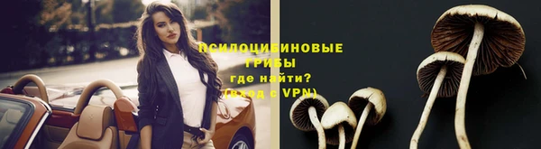 каннабис Алексеевка