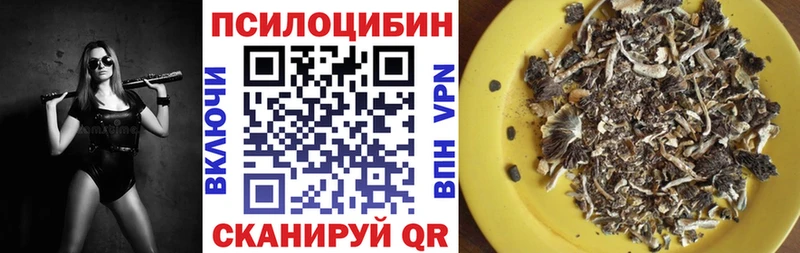 Псилоцибиновые грибы ЛСД  купить наркоту  OMG ссылка  Владивосток 